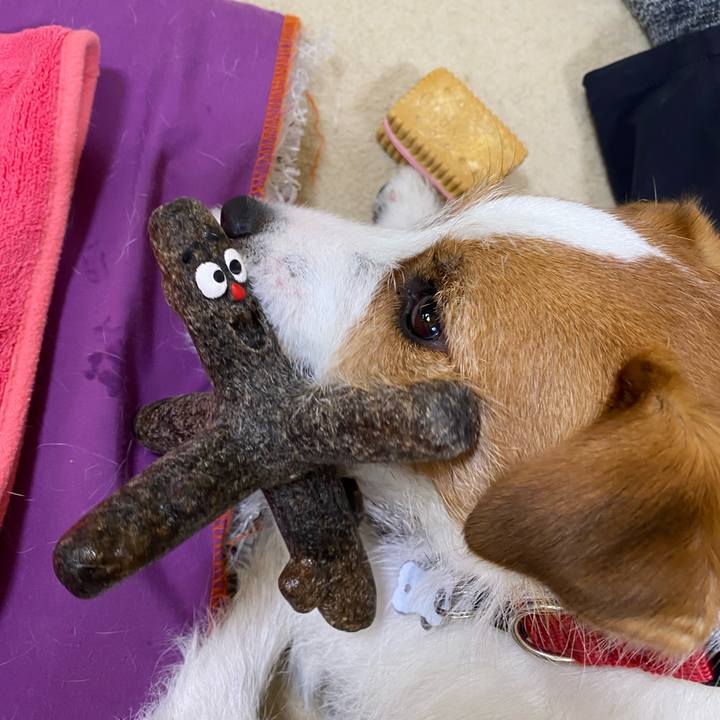 Fbc82e8b 9851 43dd a668 48a80652d57e 1648879457025