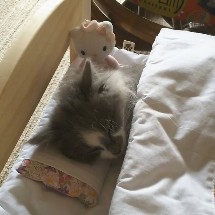 Fbc855b1 7fe1 4e3e abcf 6cad0e97d90e 1561154106505