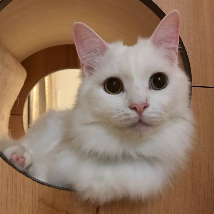 Fbc85632 76c1 44eb ba83 23d8c00cacc1 1546221514194