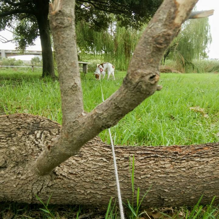 Fbc892d1 c84e 485e b1df d538d1a19cc5 1536752226276