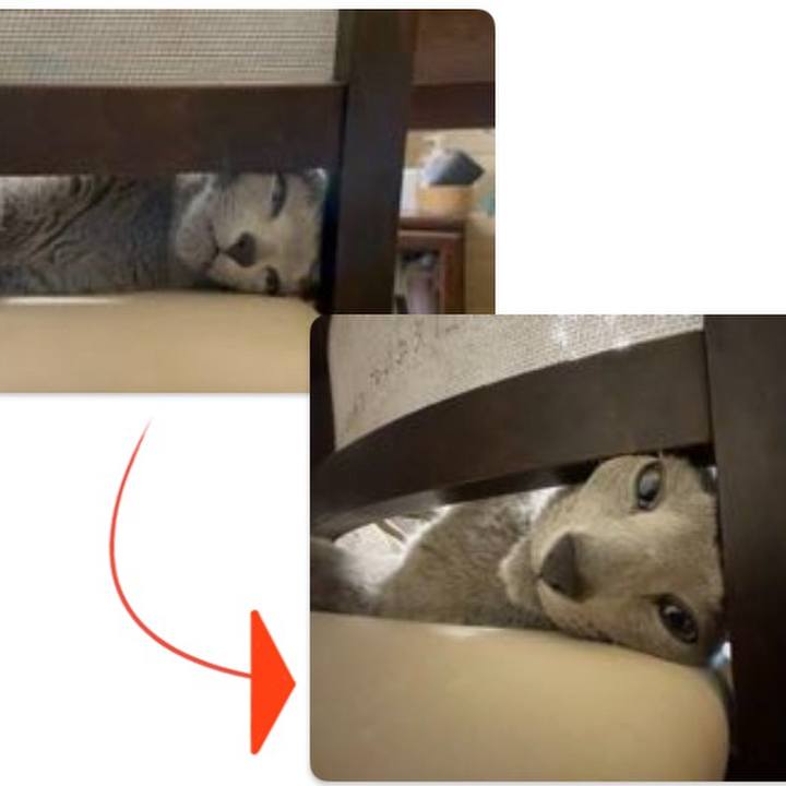 Fbc89d6d 3a7f 4777 a91b 2396c2207ac1 1736248851842