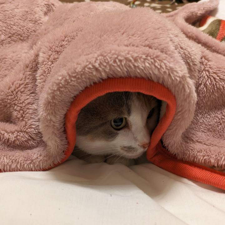 Fbc89e5c 961e 4bac 80dc f47e09346315 1705379800468