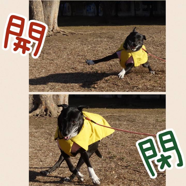 Fbc8cce8 6836 4e23 b88c 9730a5f56631 1740529237967