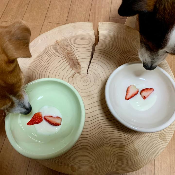 Fbc8d823 ef3e 4eaa adb9 1246721bbaff 1612517060778