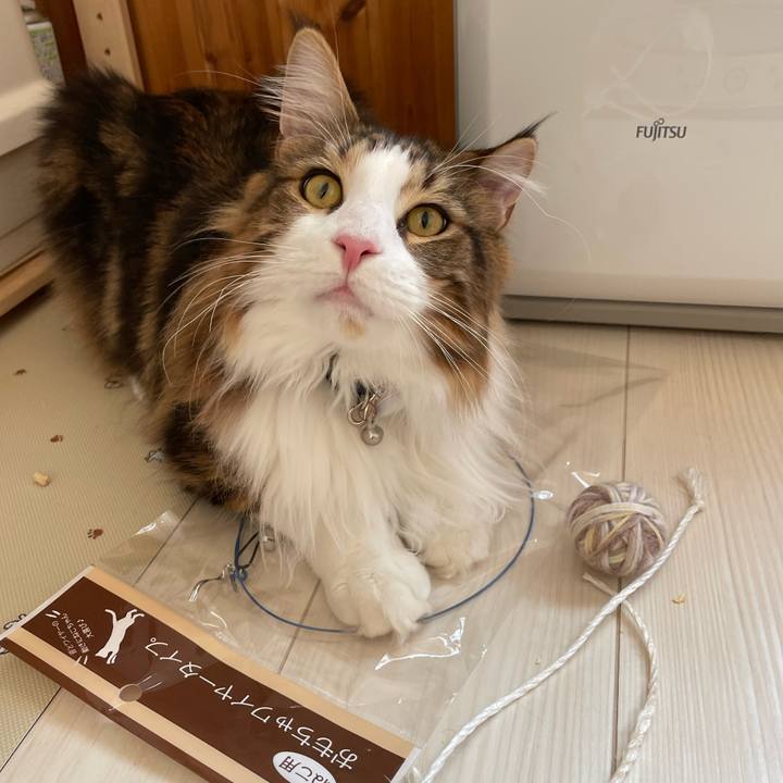 Fbc93b63 d95a 4dbf 9f30 db06f1018103 1651528519719