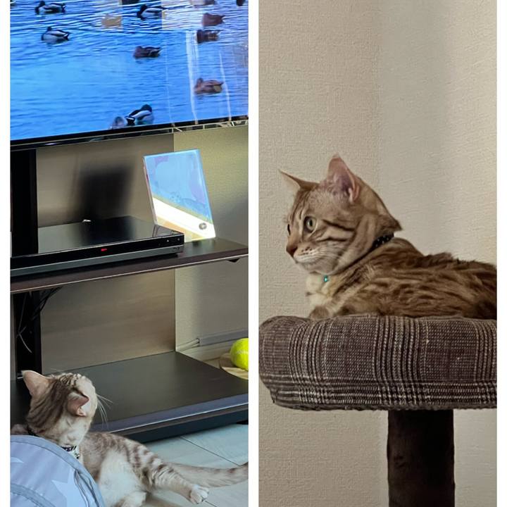 Fbc94925 2053 43e7 bf14 333a3b5846b3 1677365969224