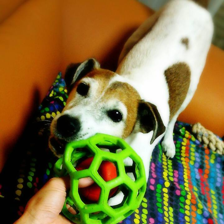 Fbc99fac fff8 4a9e 9dfc 060fba4b2bc2 1508418629442