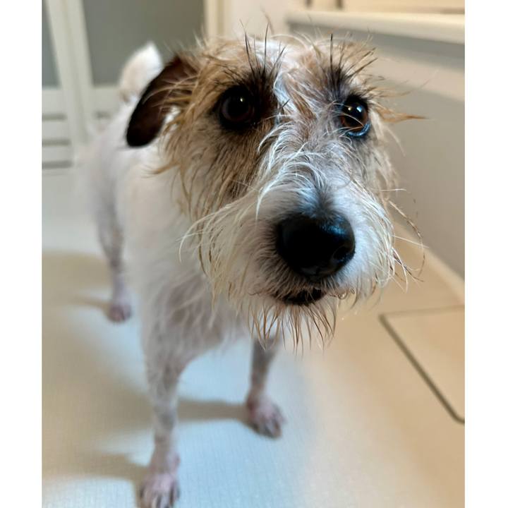 Fbc9a97b a84f 47d7 a5ce c19db6992e52 1754804564273