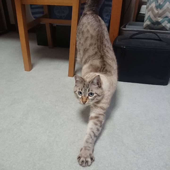 Fbc9c02c 5eac 4a96 922d 0b1aa2b20d58 1537517481914