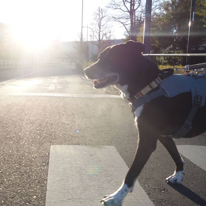 Fbc9e1e5 b705 4ab8 86b6 7d62d2b9bb8c 1733791731217