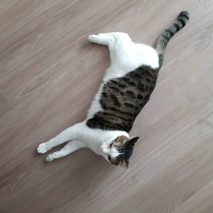 Fbc9ef78 ec2e 4a26 9e41 754b2bef8776 1561498570493