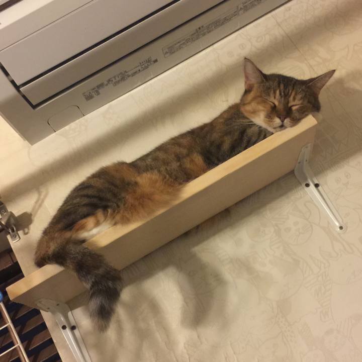 Fbca122b f0ad 4e70 b7d9 b99f15ee7f04 1567614029126