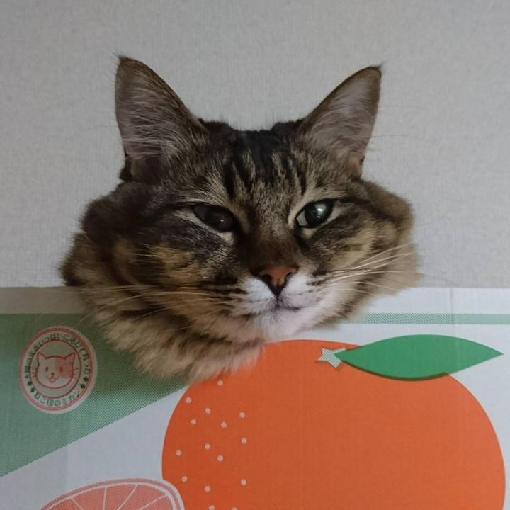 Fbca5478 eb87 49d9 932e c707cf929062 1513049281261