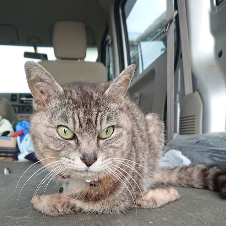 Fbca7fd1 2bab 4c3a 8132 dbbad91fd1be 1591907876833