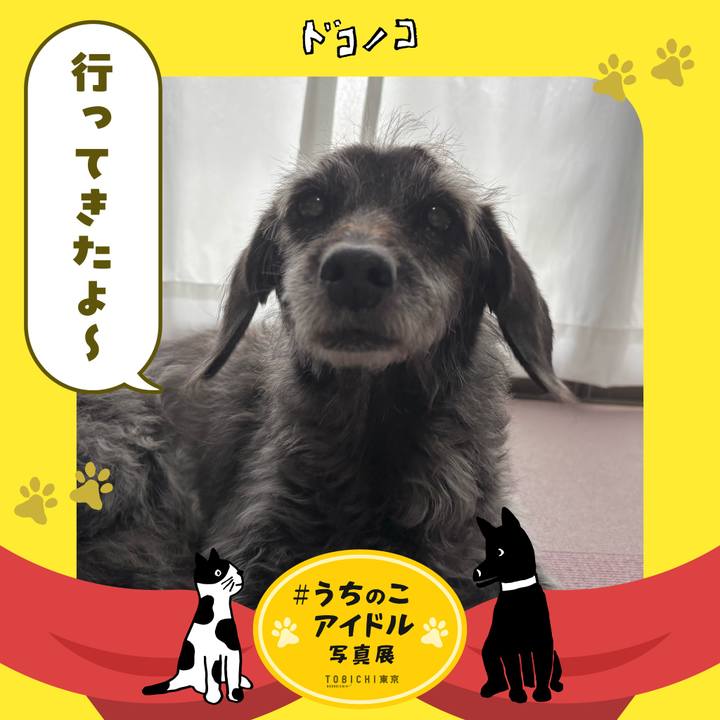 Fbca9d23 e7f4 4e89 8cd3 a0e808a517e1 1761175076235