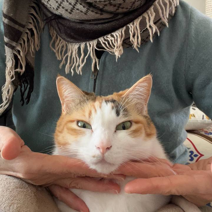 Fbcaaa36 0f25 4875 8a4f 7b89033be9b1 1770522443530