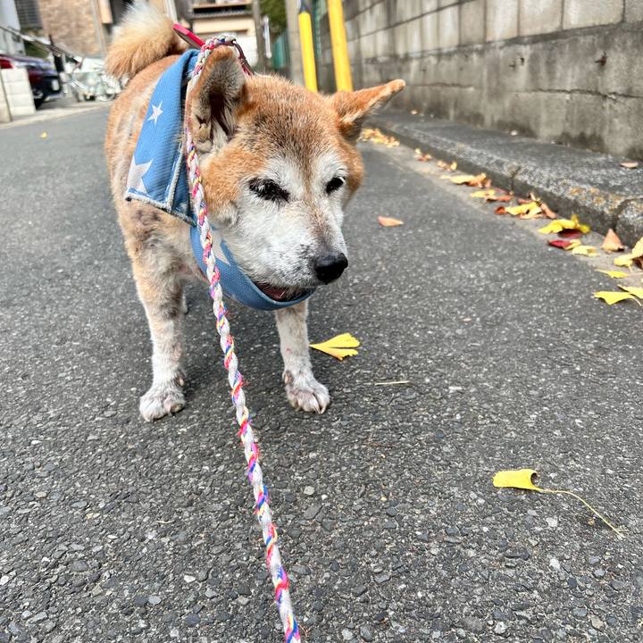 Fbcab07a 524f 4da9 97fe ceeab6d32516 1764380413362