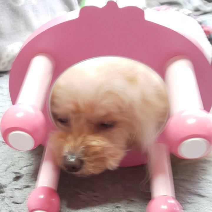 Fbcae58a 1ef9 4450 a594 b446d77a6bb3 1647672310291