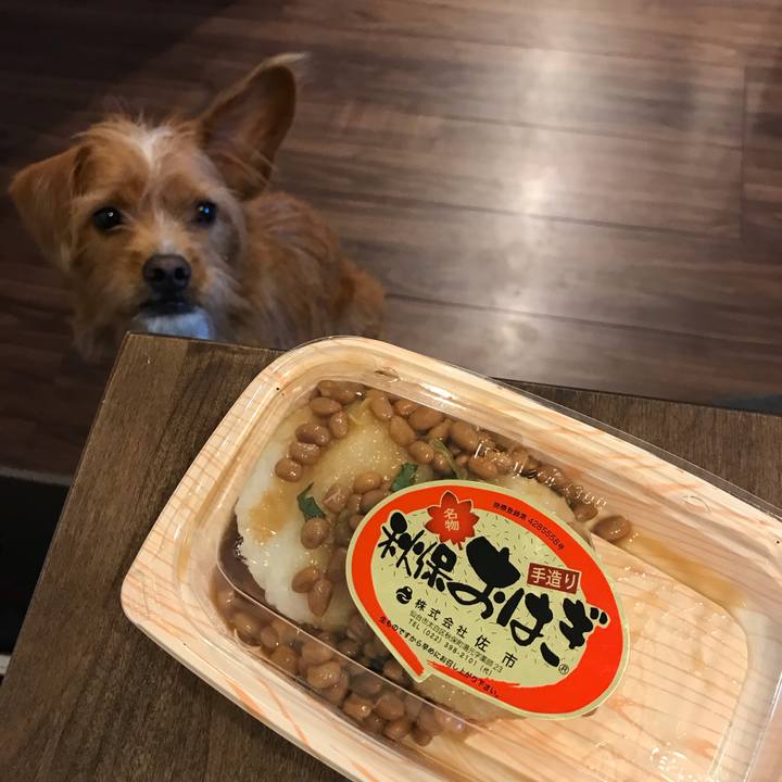 Fbcae8fb 81cc 4d90 b66d b46d93a2236e 1542083034947