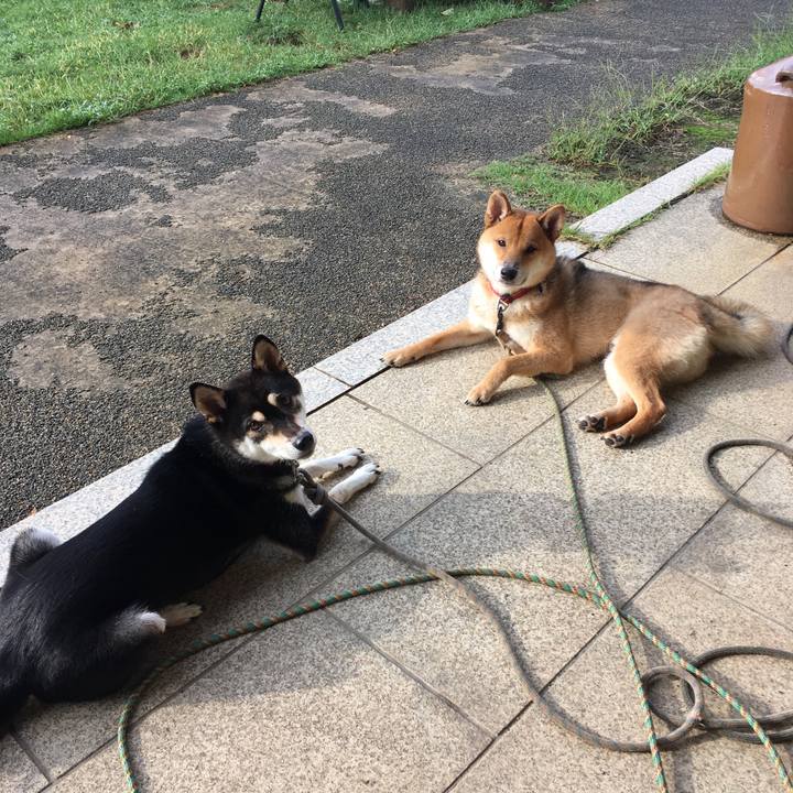 Fbcb185b deb4 4afb 9254 4ac31d9718fd 1570229974496