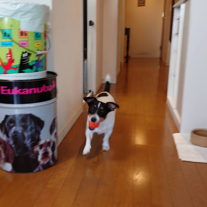 Fbcb23c9 1516 4b0e b647 1706043db3c8 1659430793416