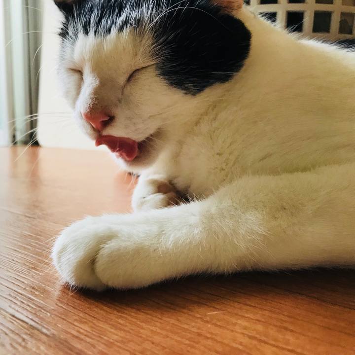 Fbcb5e0c c527 4341 8882 61234d60b02e 1531889431279