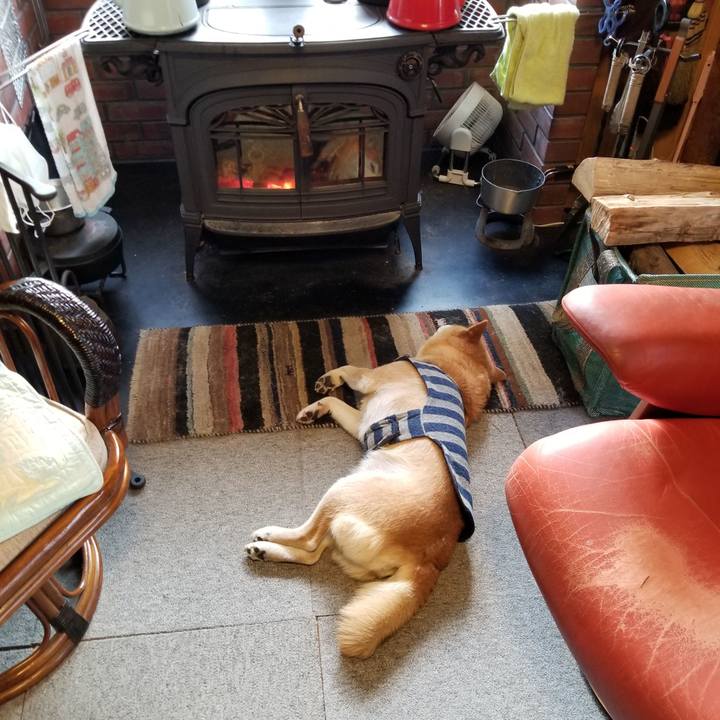 Fbcbb83b 978f 4fed a8a8 06958e010ae6 1612566829524