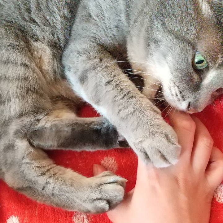 Fbcc343a d76a 4c4e a5cb 917065d598b6 1636759088563