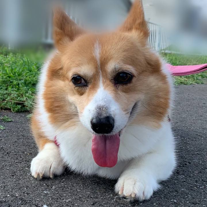 Fbcc4292 1416 4f6e 8ca6 59fb9f229061 1692225409340