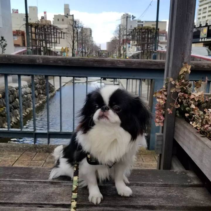 Fbcc4fe3 4940 49f1 ae8f d566c98b90b8 1645362501903