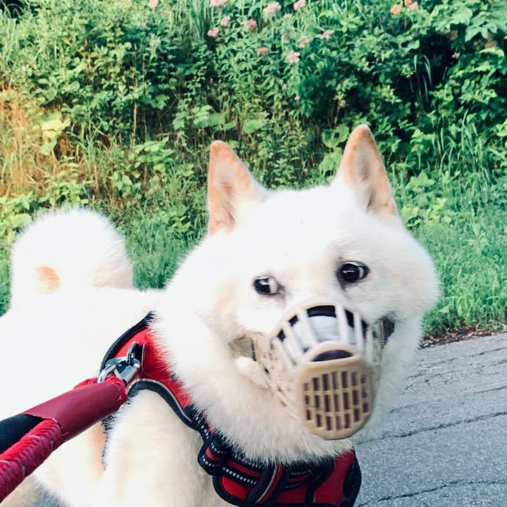 Fbcc8d92 c617 4528 a1a0 7c2413349229 1659558736618