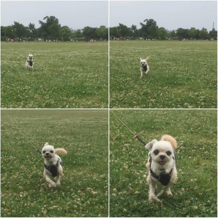 Fbccba13 7efc 419e 804a 62d4bf0d026d 1559464662321