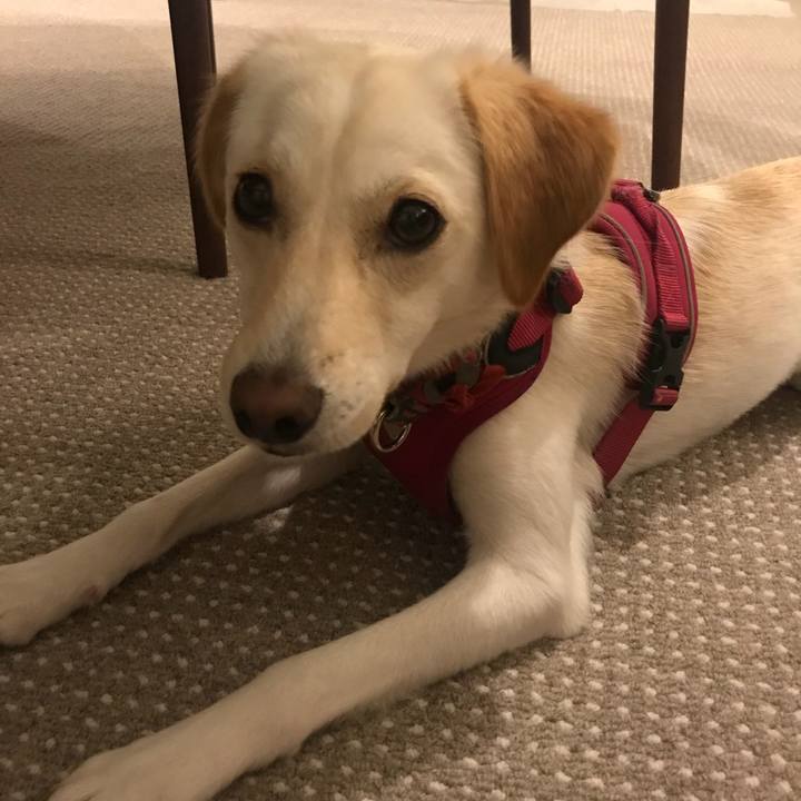 Fbccbb17 aa12 460b 9d61 94fa2a038d90 1529417645304