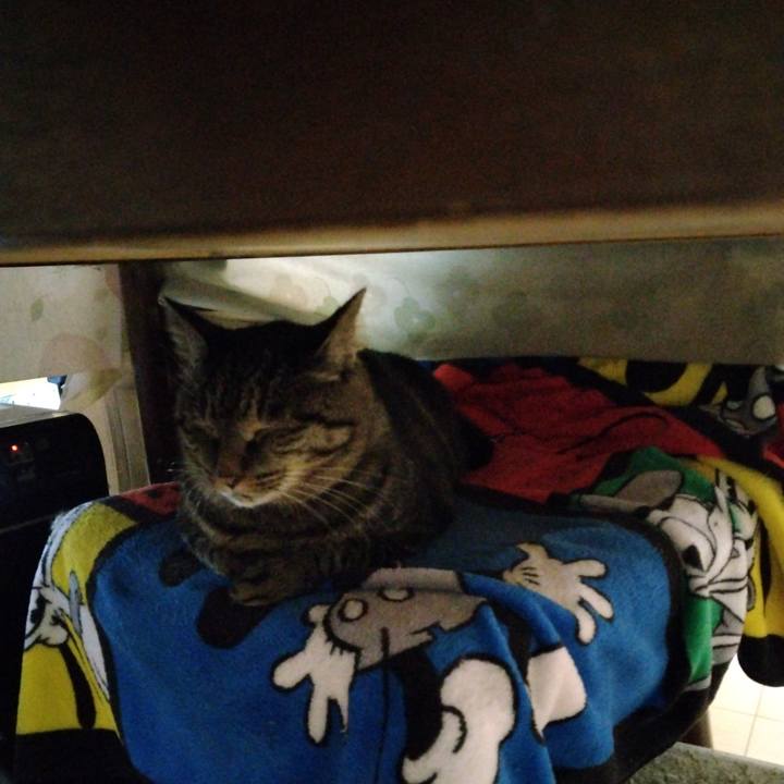 Fbcd0be4 6b49 4b26 8d93 c3d19869b4b6 1666090237725