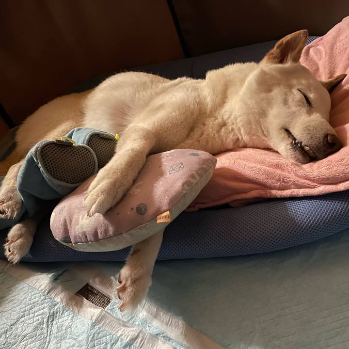 Fbcd2bdd 41fa 4d1d 86d1 04e64885614d 1654359290143