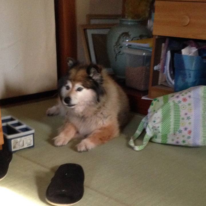 Fbcd4e13 b6b5 4dd4 a52e 61cdad80e232 1597945231716