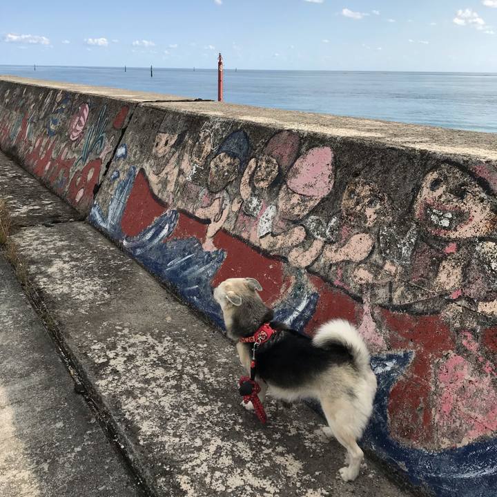 Fbcd5416 e282 483d 9873 df08be7d2976 1580654243815