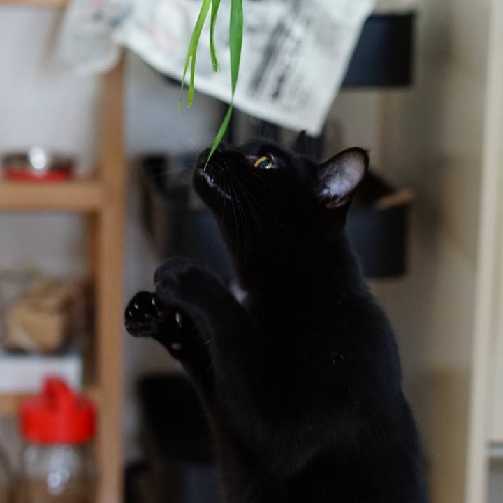 Fbcd5573 6707 4da7 bd2d 8f7575e4bc33 1554421547609