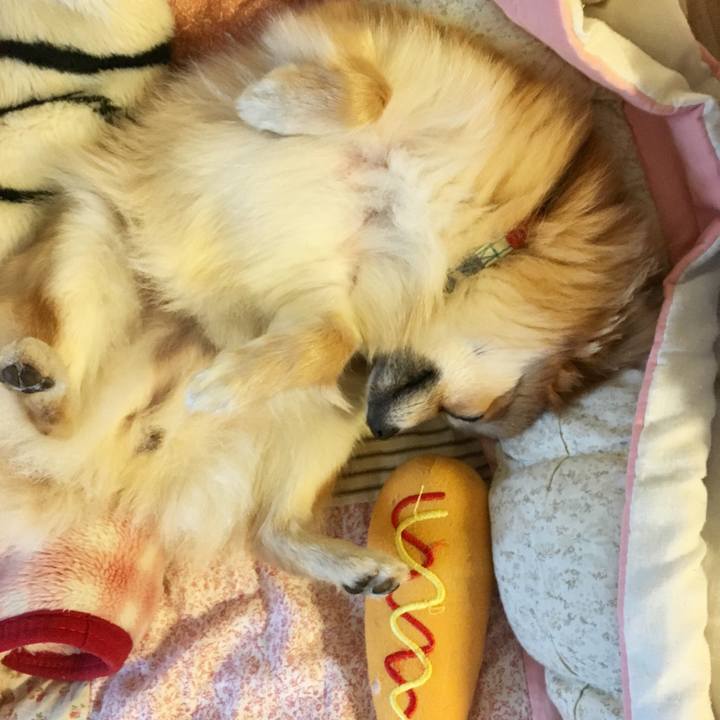 Fbcd5976 49c7 4b35 88d6 4497d9bc6687 1521631528526