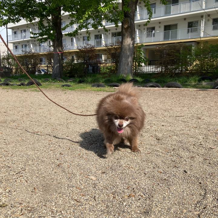 Fbcda043 54d6 4aa9 b151 4a6240a52e48 1682764638701