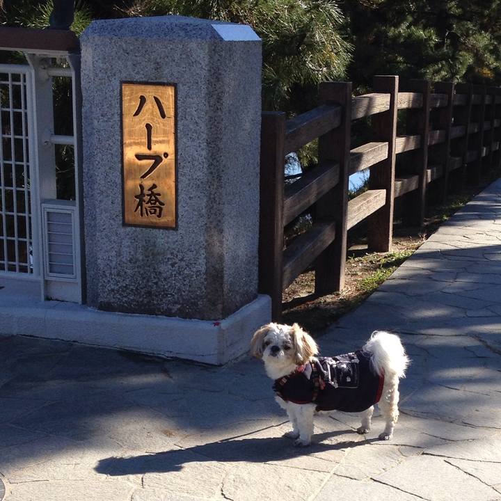 Fbcdad6e 0f5c 41b8 9aa5 c1af040b79d6 1511597874922