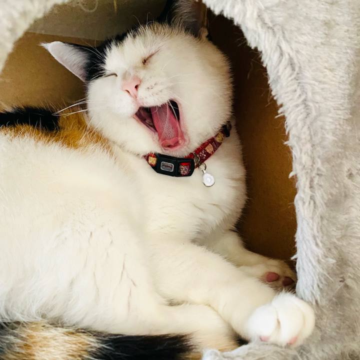 Fbcdb73b bb3a 4077 94f9 579be4aed70d 1682028460529