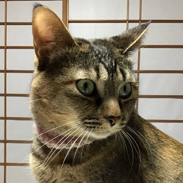 Fbcdbf5f 463d 4be5 aae0 d0280738a5c5 1677402412807