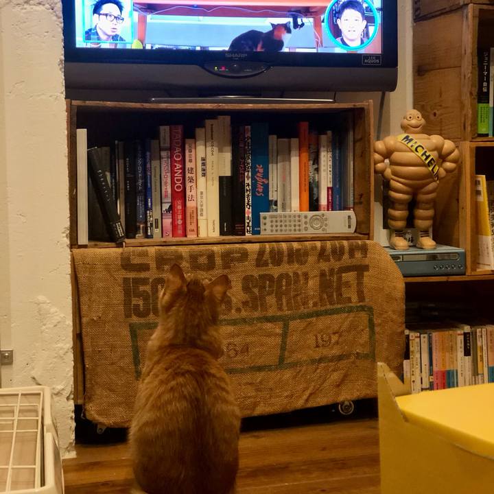 Fbcdc79e fafb 470b b728 217bf5e9dc62 1734174651585