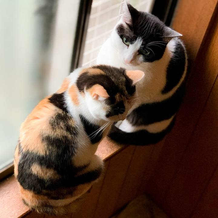 Fbcdd444 2eeb 464f 846a 947f3e243723 1587087059214