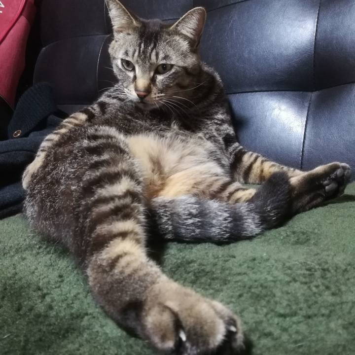 Fbcdeab7 d97c 4765 9f59 b49f00e1a63c 1524306014103