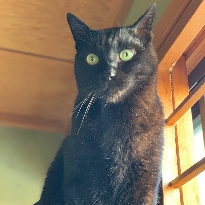 Fbcdf3fe 1ea8 4730 8114 59bd95488235 1552267303950