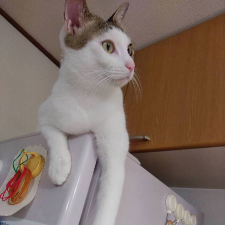 Fbce083a b102 4a8e 8e46 984b3eac1004 1684498014344