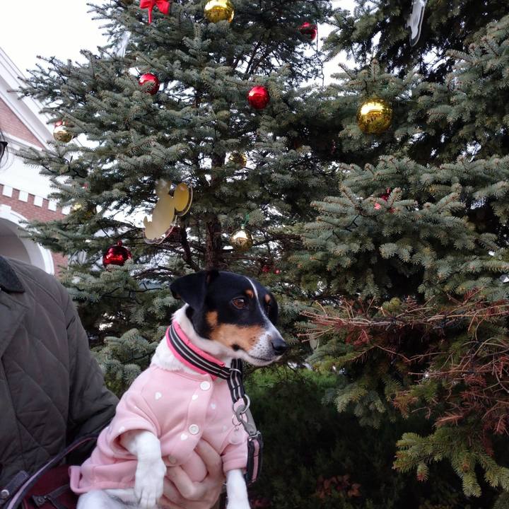 Fbce6858 b817 4b81 92bf 01774cb5d2dc 1639405689353