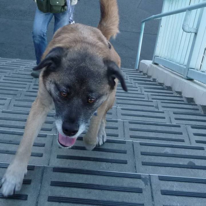 Fbce9977 528a 4b7d 8e6d 18777952fd25 1578564660358